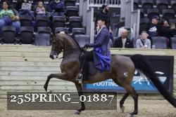 25SPRING_01887 thumbnail
