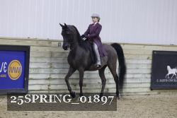 25SPRING_01897 thumbnail