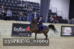 25SPRING_01909 thumbnail