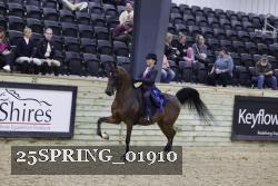 25SPRING_01910 thumbnail