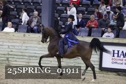 25SPRING_01911 thumbnail