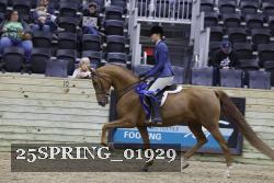 25SPRING_01929 thumbnail