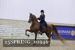25SPRING_01946 thumbnail