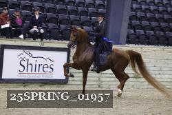 25SPRING_01957 thumbnail