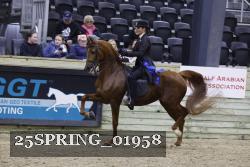 25SPRING_01958 thumbnail