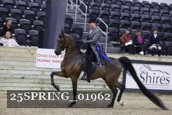 25SPRING_01962 thumbnail