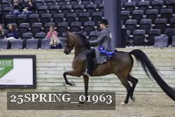 25SPRING_01963 thumbnail