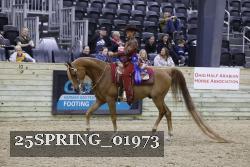 25SPRING_01973 thumbnail