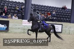 25SPRING_01977 thumbnail
