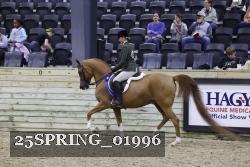 25SPRING_01996 thumbnail