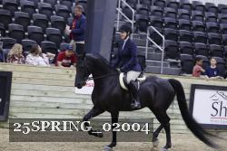 25SPRING_02004 thumbnail