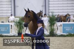 25SPRING_02006 thumbnail