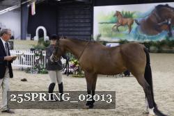 25SPRING_02013 thumbnail