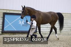 25SPRING_02038 thumbnail