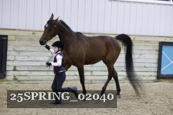 25SPRING_02040 thumbnail