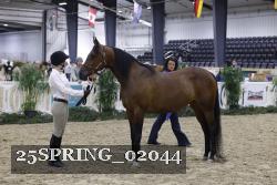 25SPRING_02044 thumbnail