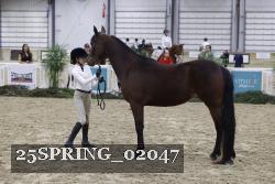 25SPRING_02047 thumbnail