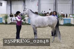25SPRING_02048 thumbnail