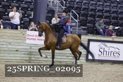 25SPRING_02095 thumbnail