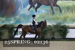 25SPRING_02136 thumbnail