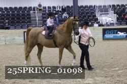 25SPRING_01098 thumbnail
