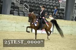 25TEST_00007 thumbnail