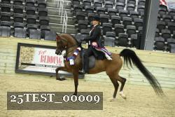 25TEST_00009 thumbnail