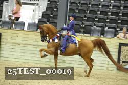 25TEST_00019 thumbnail