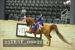 25TEST_00021 thumbnail