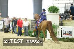 25TEST_00025 thumbnail
