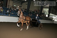 r14-04_0393 thumbnail