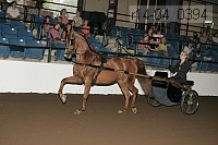r14-04_0394 thumbnail