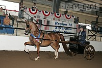 r14-04_0401 thumbnail