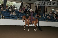 r14-04_0416 thumbnail