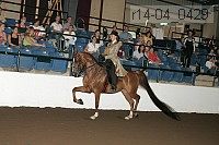 r14-04_0429 thumbnail