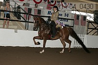 r14-04_0430 thumbnail