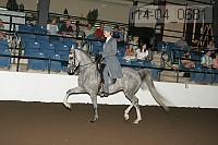r14-04_0681 thumbnail