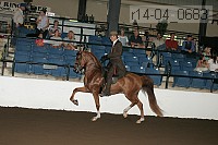 r14-04_0683 thumbnail