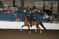 r14-04_0685 thumbnail