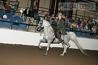 r14-04_0893 thumbnail