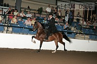 r14-04_0986 thumbnail