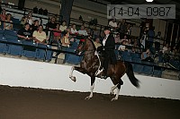 r14-04_0987 thumbnail