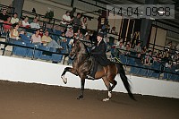 r14-04_0988 thumbnail