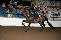 r14-04_0989 thumbnail