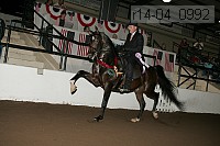 r14-04_0992 thumbnail