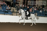 r14-04_0999 thumbnail