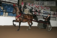 r14-04_1039 thumbnail