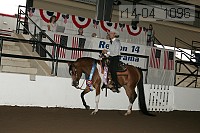 r14-04_1096 thumbnail