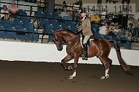 r14-04_1194 thumbnail