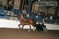 r14-04_1336 thumbnail
